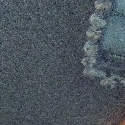 ������, �������, 39 ���