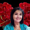 ���� ����, ���� - ��������� 23 ������� 2026 � ������ ���� ����������