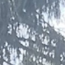 Alik, ������, 37 ���