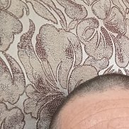 ���������, 45 ���, ��������