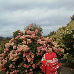 ������, ������, 37 ���