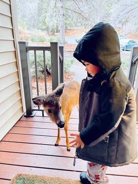 4-������ ������� �� ��������� ����� �� ����� ��������, � ����� ��������� � ������� ����� � ����� ... - 2