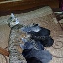 ���� Vika, ���� - ��������� 13 ������ 2025 � ������ ������ ��������