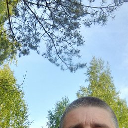 , 39, 