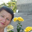  ,  , 54  -  20  2024    