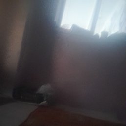 Beka, �������, 34 ����