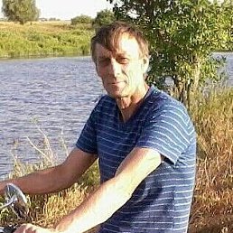 , 61, 