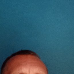 , 48, 