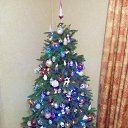 ���� ������, ����, 49 ��� - ��������� 5 ������ 2026 � ������ ���� ����������