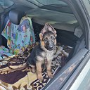 ���� ����, ������, 60 ��� - ��������� 26 �������� 2024 � ������ ���� ����������