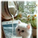 ���� ������� �������, ��������, 56 ��� - ��������� 15 ������� 2025 � ������ ���� ����������