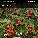 ���� ��������, �����-���������, 77 ��� - ��������� 15 ������ 2023