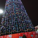 ���� ���������, �������, 38 ��� - ��������� 6 ������ 2025 � ������ ���� ����������