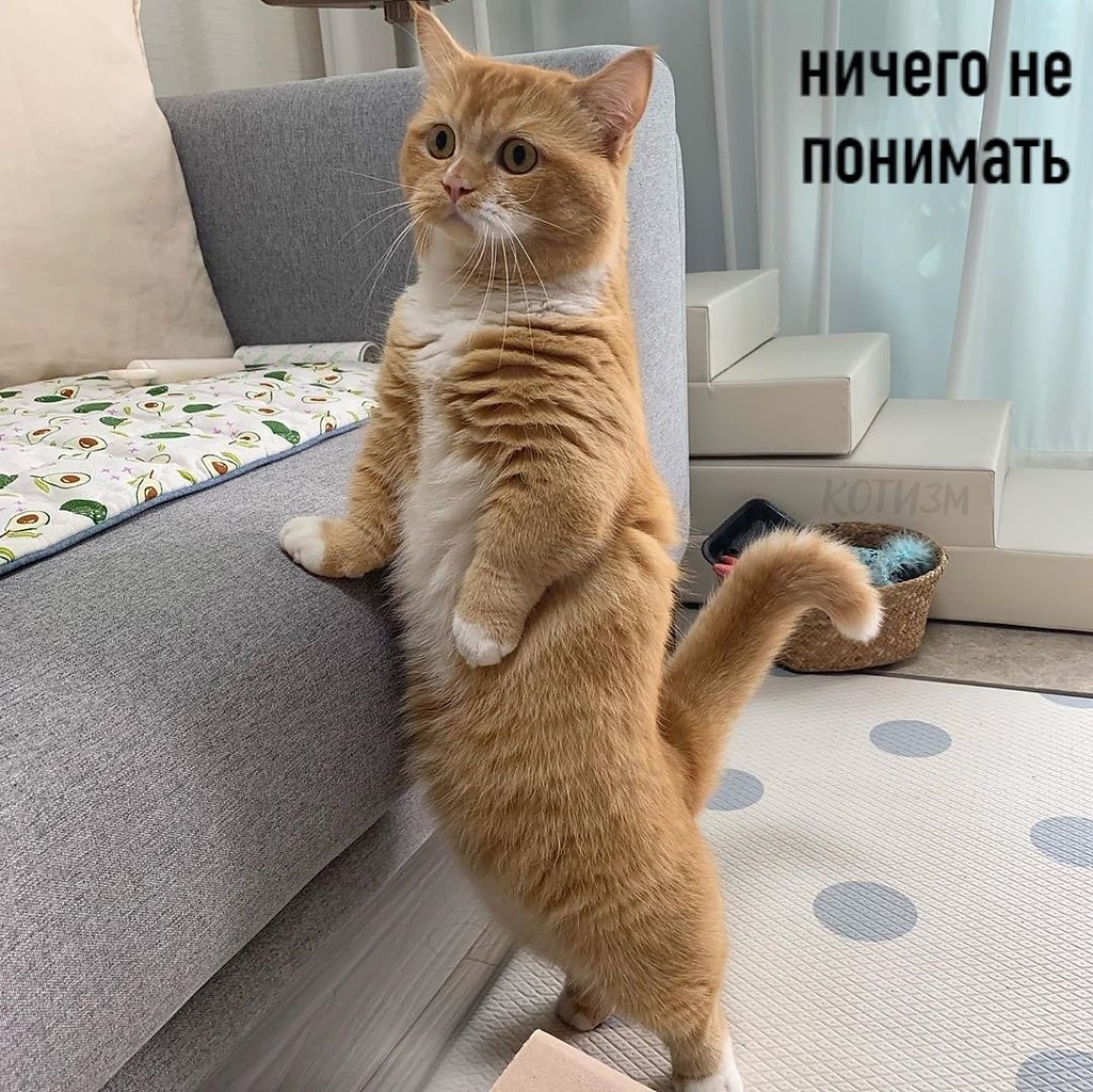 � ��������� ����� � ���� ������ ������ ��� 5 �����: - 5