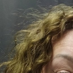 ���������, ����, 38 ���