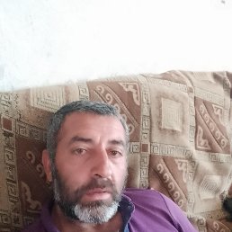 , 41, 