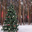 ���� Vladimir, ���������, 71 ��� - ��������� 4 ������ 2026 � ������ ���� ����������