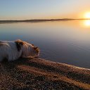  Nurrr, , 48  -  12  2025    