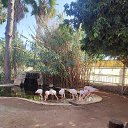 ���� �����, ������, 60 ��� - ��������� 20 ������ 2025 � ������ ���� ����������