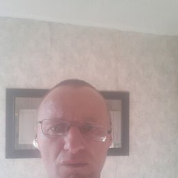 , 41, 