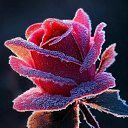 ���� �����, ������, 25 ��� - ��������� 7 ������ 2026