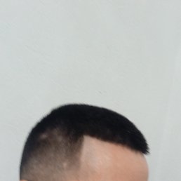 ���� �������, ������������, 41 ��� - ��������� 27 ������� 2024