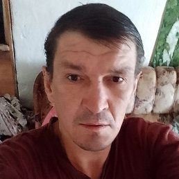  , , 42  -  21  2024