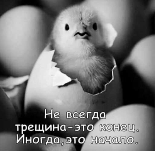   ! - 15  2025  12:50