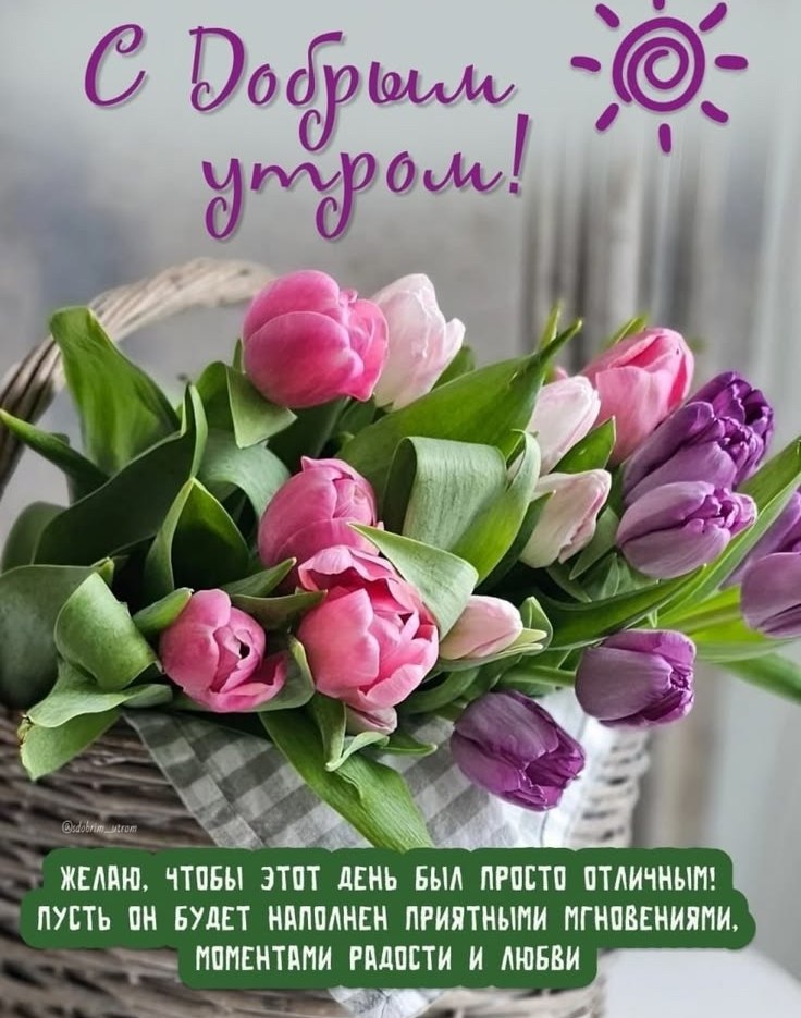 ����������� � ���������, �������� �� ������ ����. - 10 ��� 2026 � 00:34