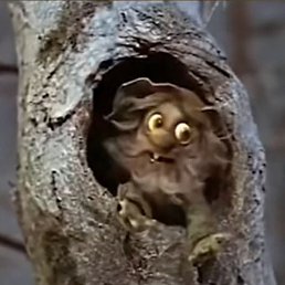 �����, ���������, 55 ���