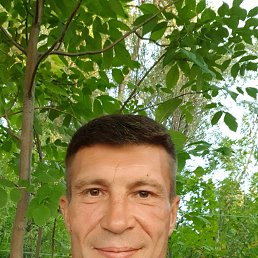, 51 , 