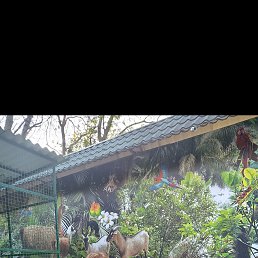 �����, 42 ����, �������-�����