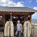 ���� Dan, ����� - ��������� 28 ������� 2024 � ������ ���� ����������