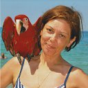 ���� Sayffer, ������ - ��������� 7 �������� 2025 � ������ ���� ����������