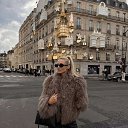 ���� �����, �����-���������, 38 ��� - ��������� 7 ������� 2026 � ������ ���� ����������