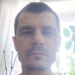 ������, ������, 46 ���