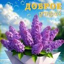 ���� ���� ��������, ������, 72 ���� - ��������� 15 ��� 2026 � ������ ������ ��������