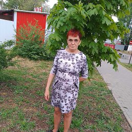 ���� �������, ����, 48 ��� - ��������� 5 ������ 2026