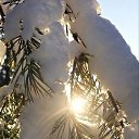 ���� ���������, ������, 66 ��� - ��������� 9 ������� 2025 � ������ ���� ����������