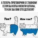 ���� ����, ��������� - ��������� 16 ��� 2026 � ������ ������ ��������