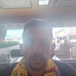 �������, �������, 46 ���