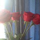 ���� ���� �����, ������� - ��������� 13 ������� 2025 � ������ ���� ����������