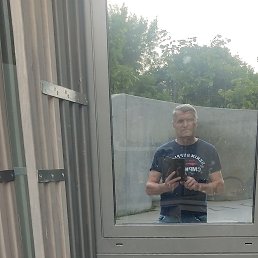 , 65, 