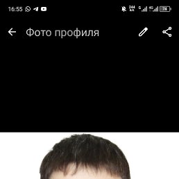 , 29, 