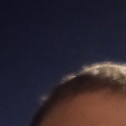 ������, ������������, 42 ����