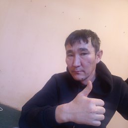 �����, ���������, 43 ����