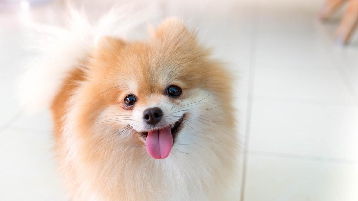 ��� ���� - 5 ������ 2025 � 16:54