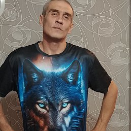 ����, 40 ���, ����������