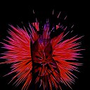 ���� ����, ������ - ��������� 16 ��� 2025 � ������ ������� � �������