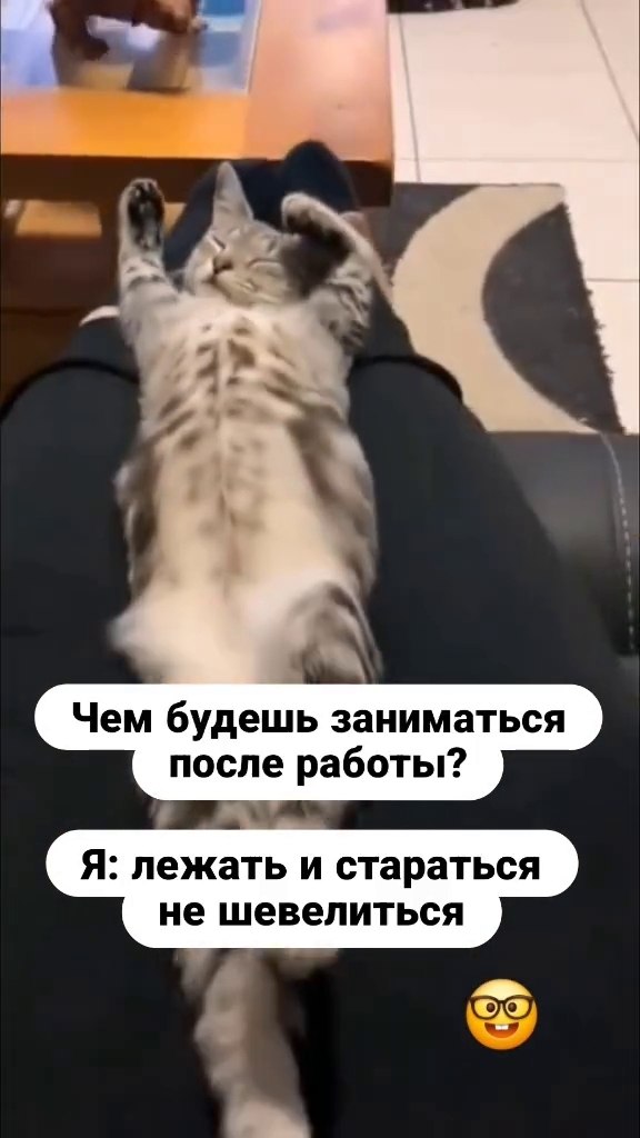 � ��� ��� ����������?)
